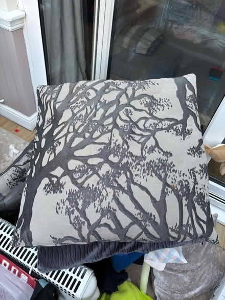 Photo of free Large cushions (Heybridge CM9) #4