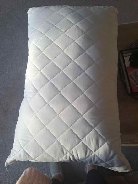 Photo of free Pillow (Old colwyn) #1