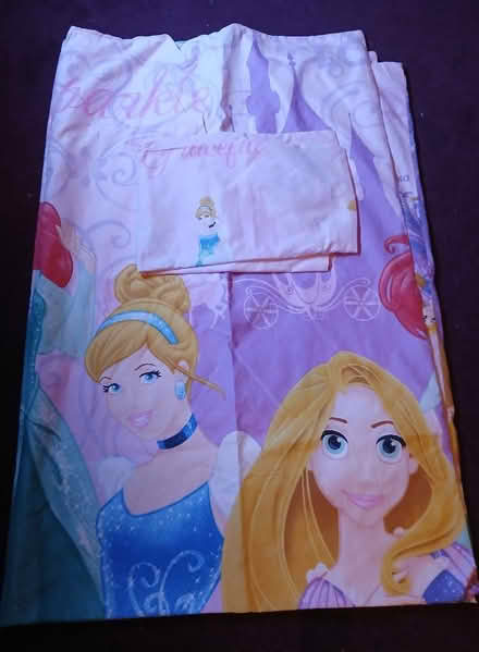 Photo of free Disney Princess single duvet cover (Odd Down) #1