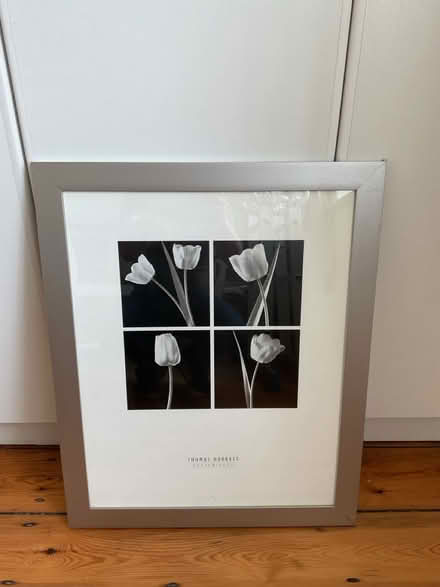 Photo of free Framed Picture (Lansdowne) #2