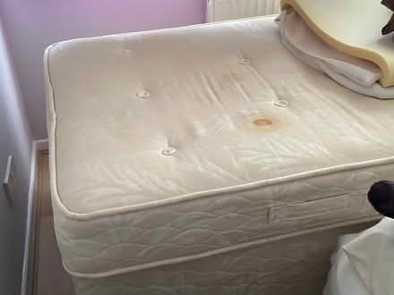 Photo of free Single bed (Poynton SK12) #4