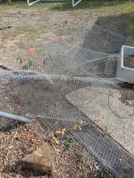 Photo of free Strong wire mesh (DA1) #1