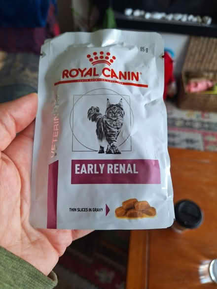 Photo of free 12 sachets renal cat food (BN41) #1