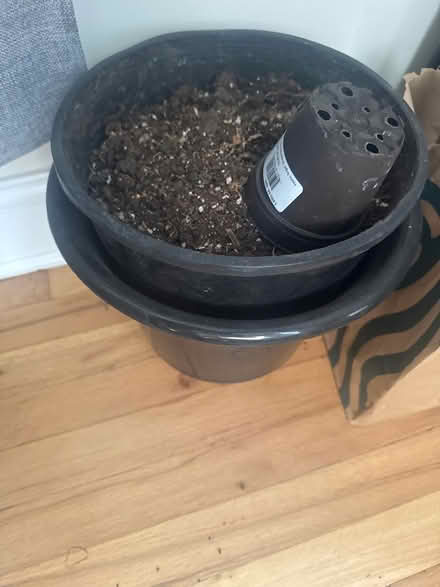 Photo of free Potting soil (Jackson Heights) #1