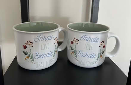 Photo of free Gratitude Mugs (Hunt Club/Conroy area) #1