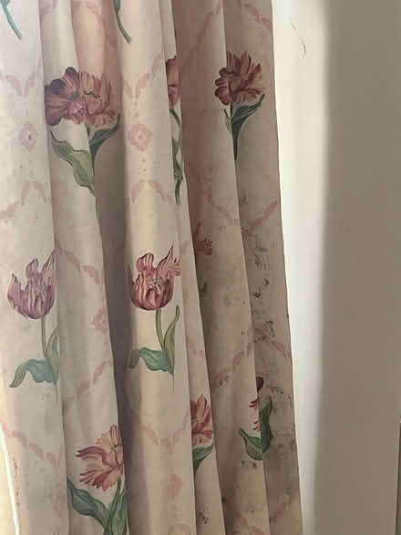 Photo of free Tulip Curtains (Lewisham) #4