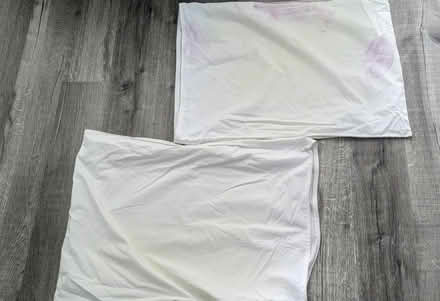 Photo of free Pillow protectors - standard (Allston) #1