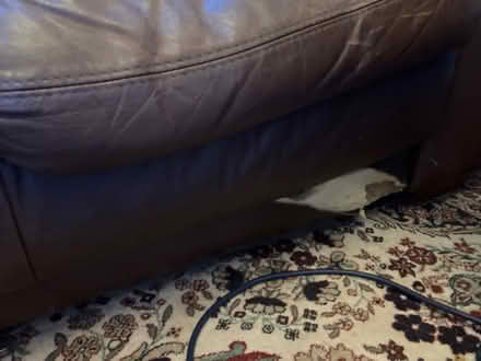 Photo of free Brown leather 3 seater sofa (Brasted TN13) #2