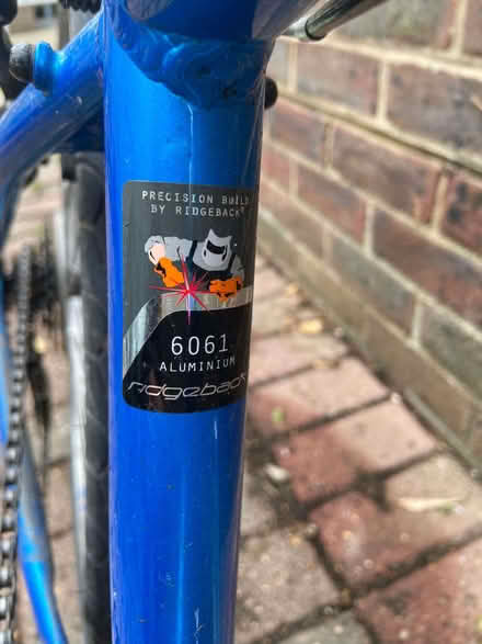 Photo of free SMALL MOUNTAIN BIKE : Please read the post before replying. (Whitehawk BN2) #4