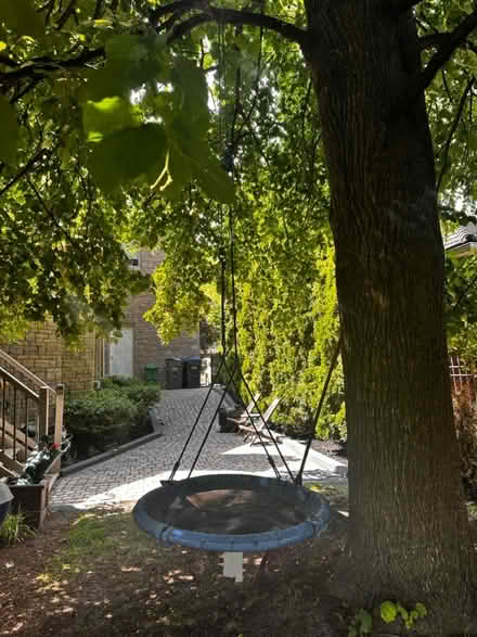 Photo of free Swing and ladder (Streetsville) #1