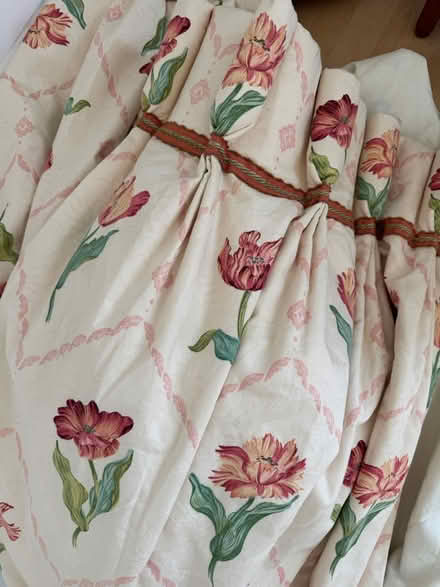 Photo of free Tulip Curtains (Lewisham) #1