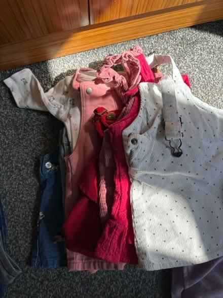 Photo of free 0-9 months Baby girl clothes (Bushbury WV10) #2