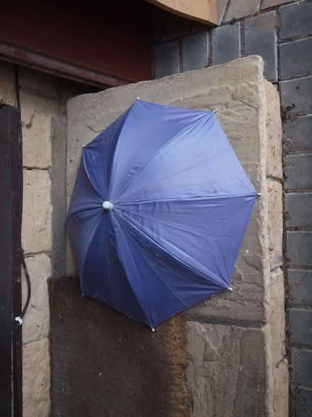 Photo of free small novelty umbrella (Oakwood LS8) #1