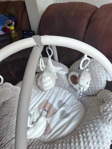 Photo of free Baby play mat with hanging toys. (Nast Hyde Farm AL10) #2