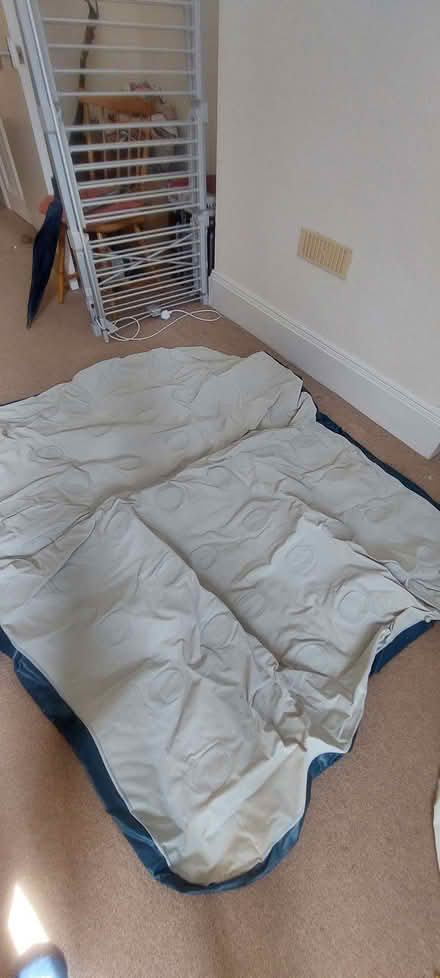 Photo of free Inflatable mattress (University Area RG1) #1