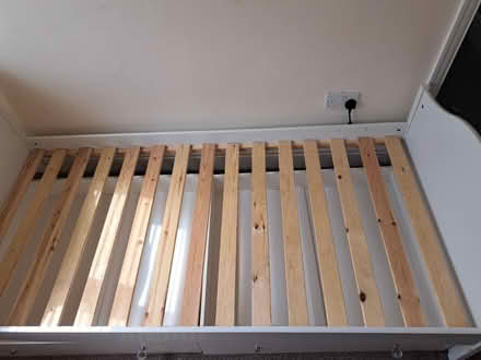 Photo of free Single bed (NE96TP) #1