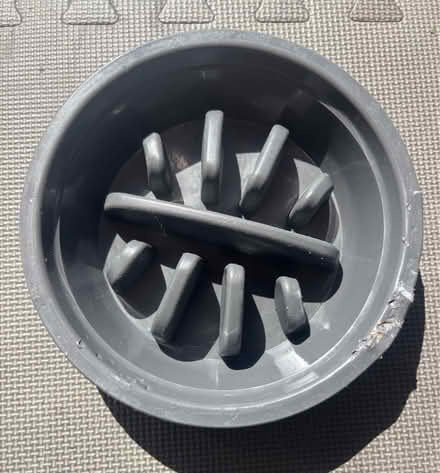 Photo of free Slow feeder bowl (Fremont High) #1