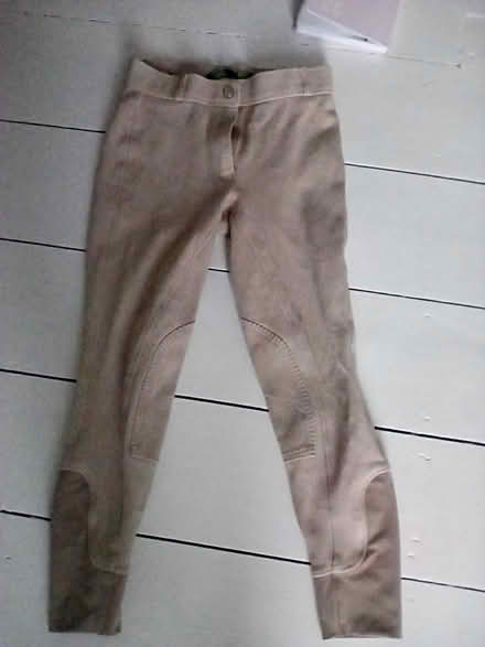 Photo of free Horse riding leggings (Wallasey) #1