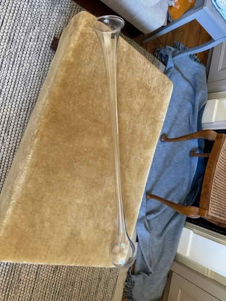 Photo of free Yard of Ale glass (Ham, Richmond, TW10) #1