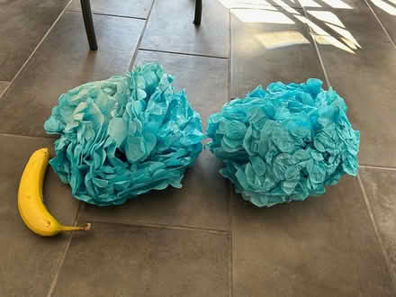 Photo of free Tissue Paper Decorations (Riverside/Hunt Club) #1