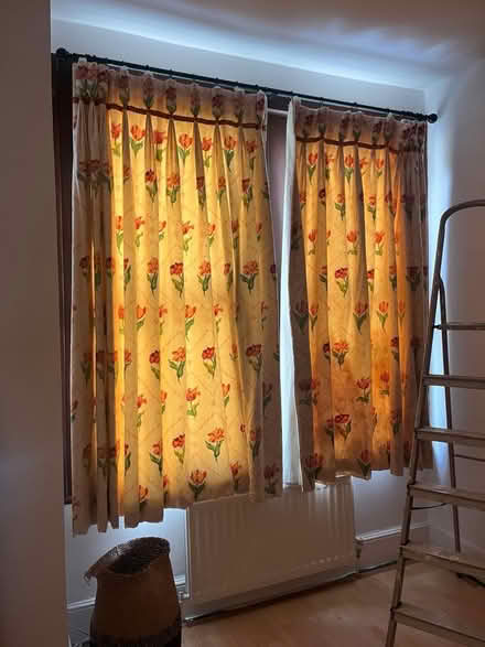 Photo of free Tulip Curtains (Lewisham) #2