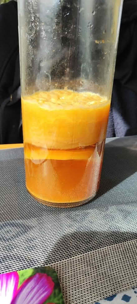 Photo of free Kombucha scobie (LN44QB) #1
