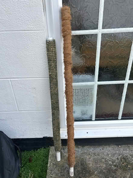 Photo of free Plant supports (Bognor Regis PO21) #1