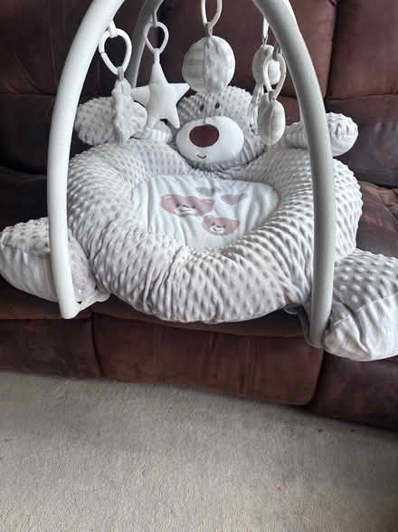 Photo of free Baby play mat with hanging toys. (Nast Hyde Farm AL10) #4