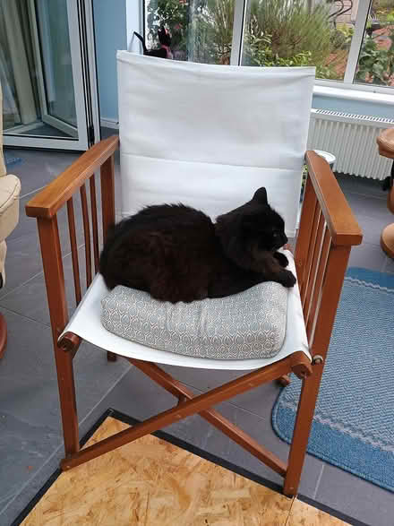 Photo of Directors chair (Runfold Farnham) #1