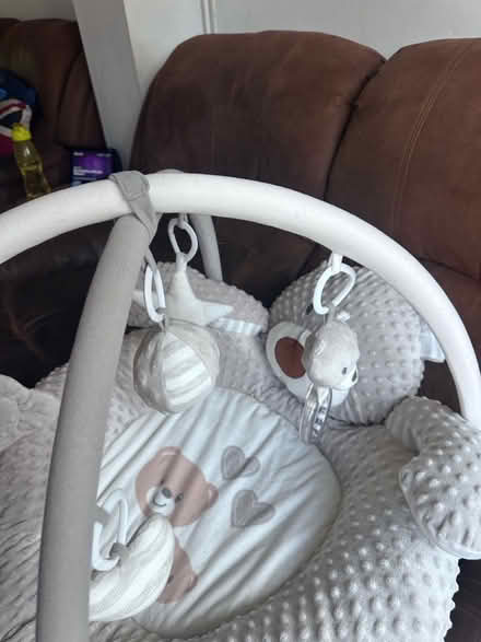 Photo of free Baby play mat with hanging toys. (Nast Hyde Farm AL10) #3