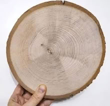 Photo of wood slices for school mud kitchen (Up Hatherley GL51) #1