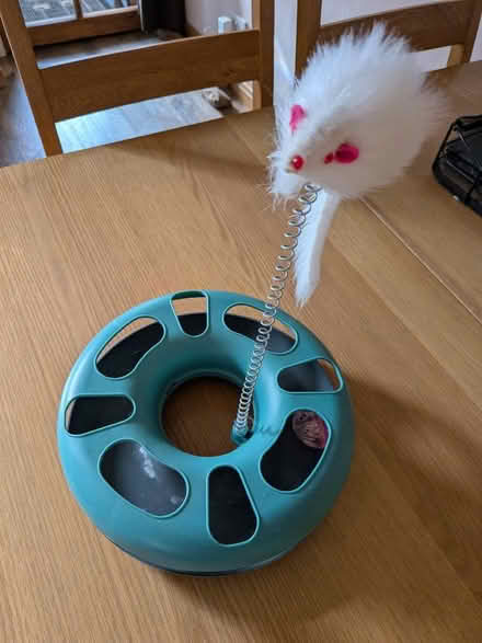 Photo of free Cat toy (Endmoor LA8) #1