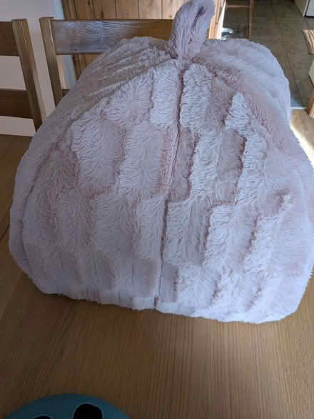 Photo of free Cat bed (Endmoor LA8) #2
