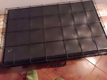 Photo of free Square dog crate (Mousehold NR3) #1
