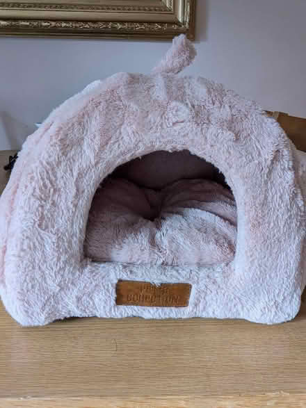 Photo of free Cat bed (Endmoor LA8) #1
