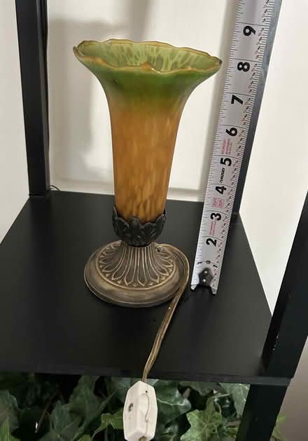 Photo of Decorative lamp (Hunt Club/Conroy area) #1