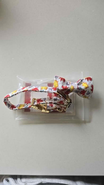 Photo of free Dog/cat collar with bow (Streetly B74) #1