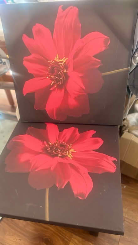 Photo of free Large black red poppy canvas (Chatham) #1