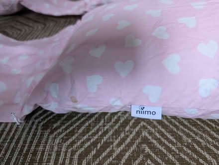 Photo of free Pregnancy and nursing pillow (City of Bristol BS4) #4