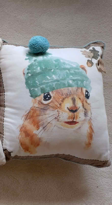 Photo of free Cushion with Rabbit Motif - Clean & lived on bed spread. (Kenley CR8) #1