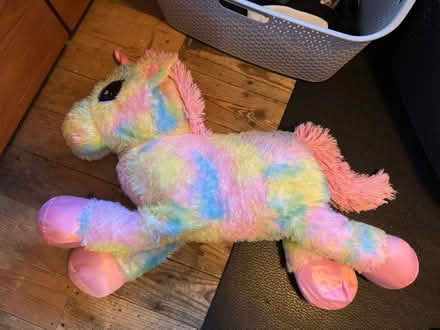 Photo of free Large Unicorn 🦄 (Frecheville S12) #1