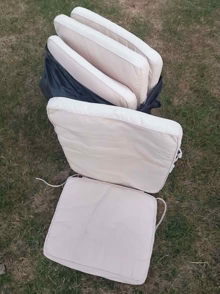 Photo of free large garden chair cushions (Emsworth PO10) #1