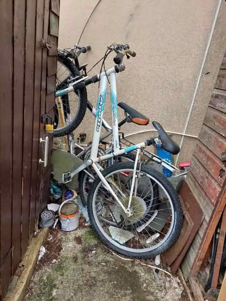 Photo of free Adult bicycles (Penmaen Rhos LL29) #1