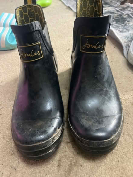 Photo of free Joules wellibobs uk6 (RG2 Shinfield) #1