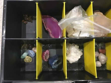 Photo of free Rock & fossil collection (Chelmer Village CM2) #1