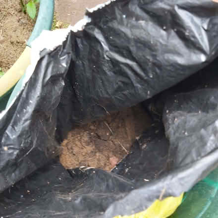 Photo of free Sand for leveling block work (Blackhall EH4) #1