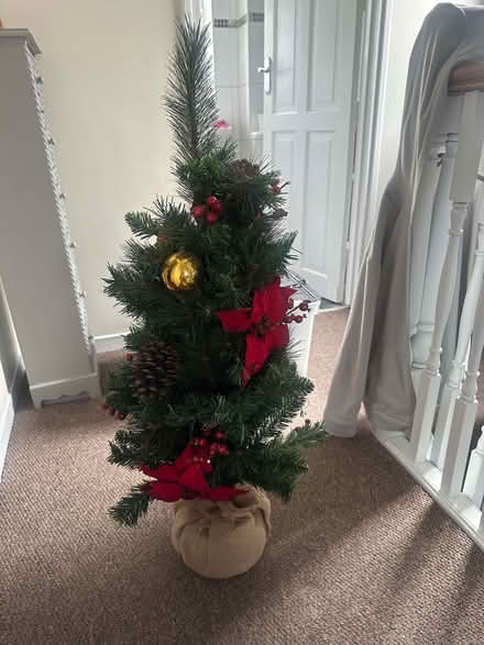 Photo of free Small Christmas tree (GU14) #1