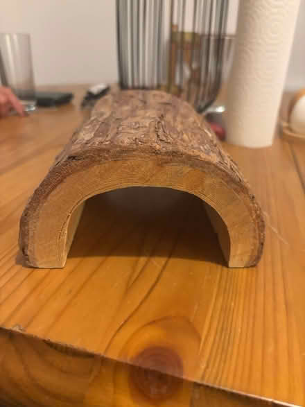 Photo of free Small tortoise 🐢 tunnel (N14 4QN) #1