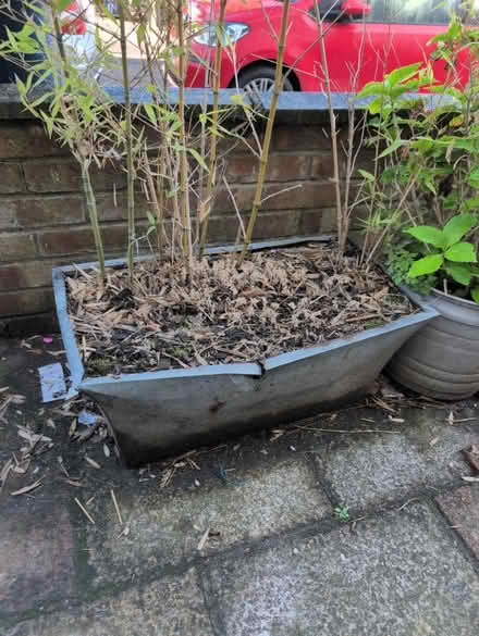 Photo of free 2 metal planters with bamboo (East Finchley N2) #1