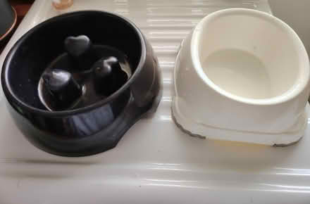 Photo of free Dog bowls (Horeshay) #1